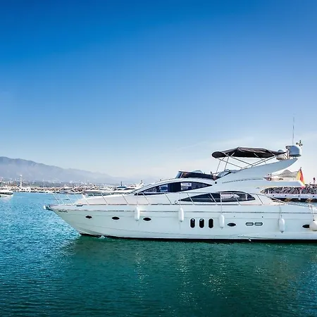 Astondoa 59